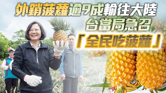 大陸暫停進口台灣菠蘿 台「靠吃」自救徒勞