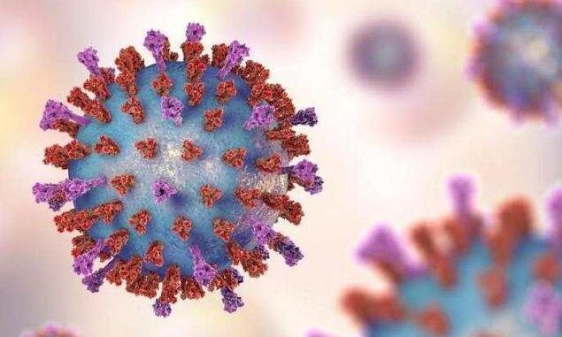 英國發現6宗巴西變種病毒