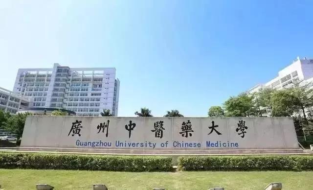 港澳台384名青年報讀內地博士碩士研究生 廣州中醫藥大學最搶手