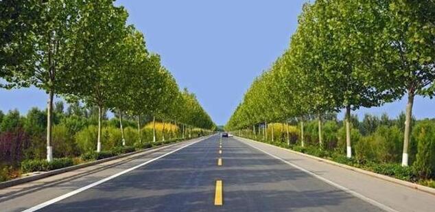 官方：到2035年農村公路總里程穩定在500萬公里左右