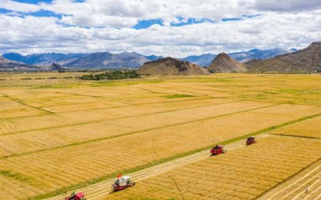農業農村部：堅決完成全年1億畝高標準農田建設任務