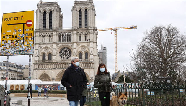 需千棵百年橡樹 巴黎聖母院修復工作開始