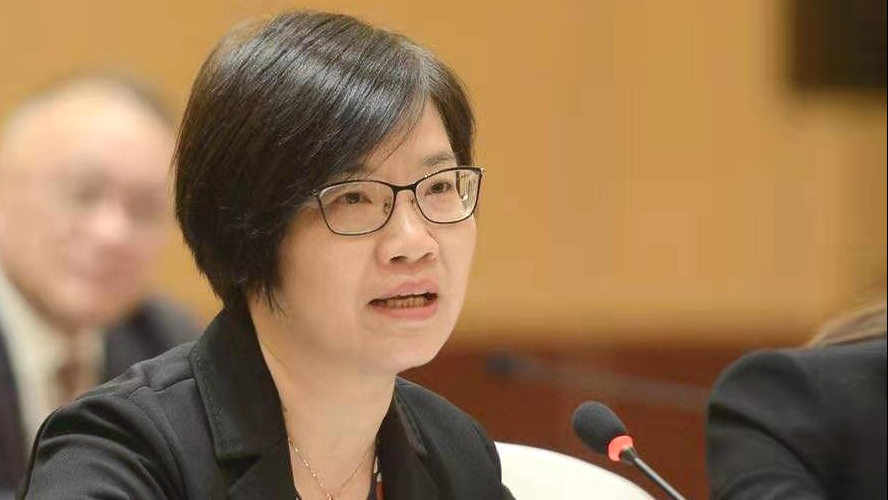 【代表委員說】王偉：持續擴大進博會溢出效應具迫切性