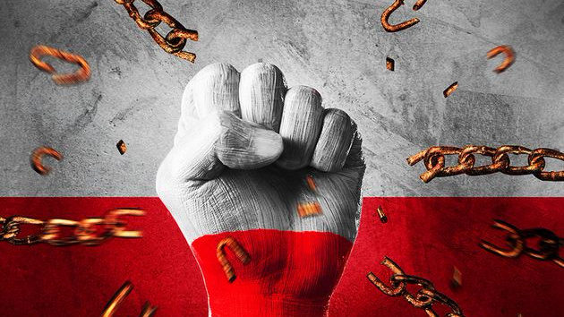 內地淨網2020偵辦案件5.6萬起