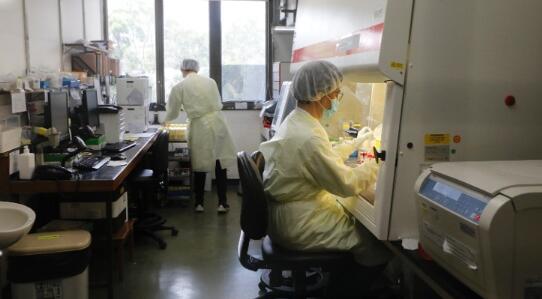 醫管局：承辦商化驗室現環境污染 部分樣本檢測滯後