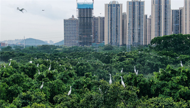 廣東探索建設珠三角「無廢試驗區」