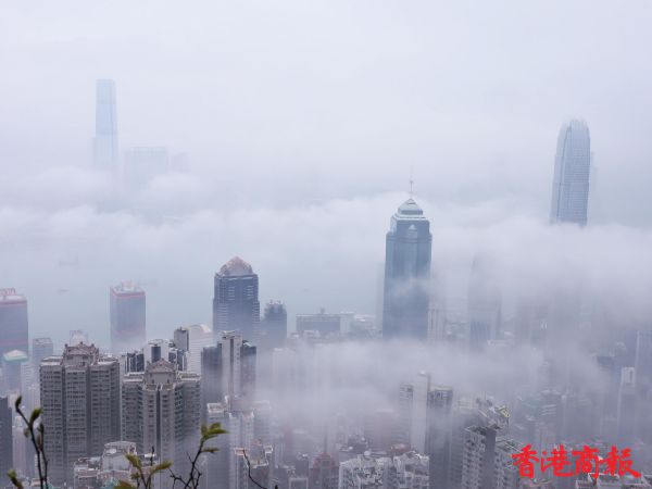 圖集 | 維港上空春霧瀰漫 雲海景象宛若「仙境」