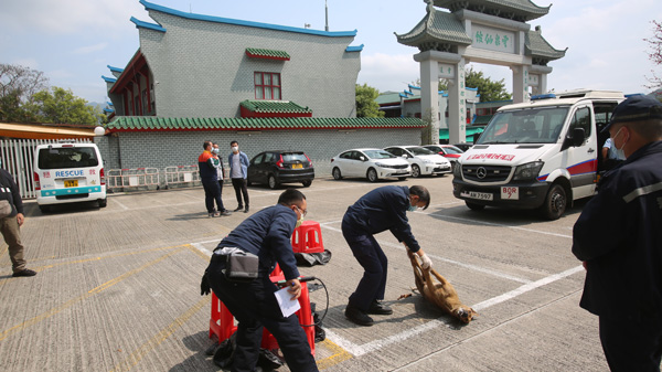 雲泉仙館4隻唐狗疑被毒殺 警員到場調查