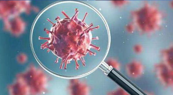 美日澳印領導人討論疫情和氣候變化等問題