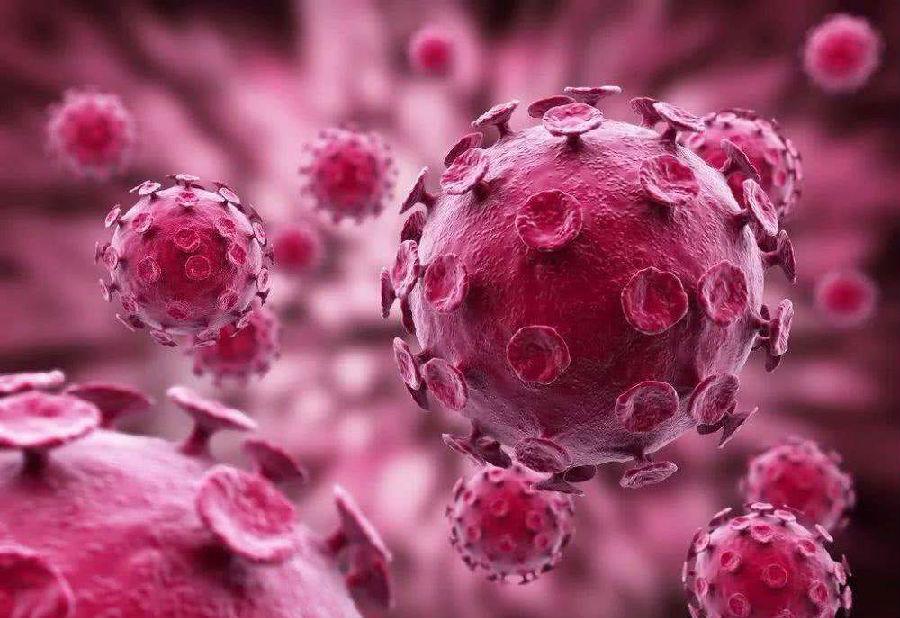 巴西研究人員發現新冠病毒新變種