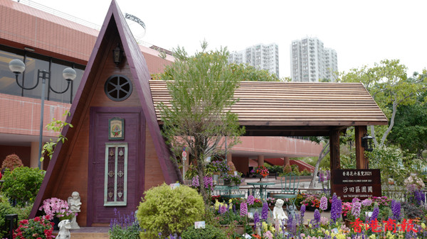 圖集 | 沙田西方園圃：鮮花怒放 萬紫千紅