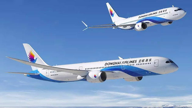 民航局通報東海航空處理結果：暫停新增航線，機長執照被撤