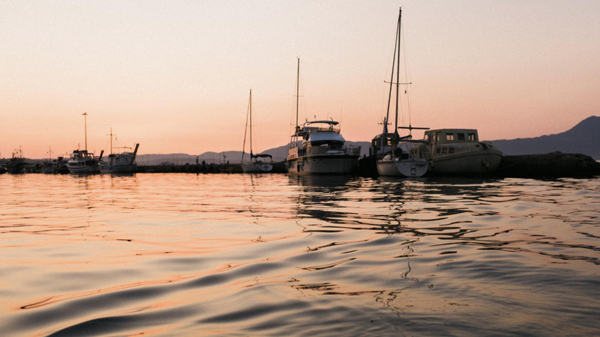 金輝集團去年虧損擴大至8584萬