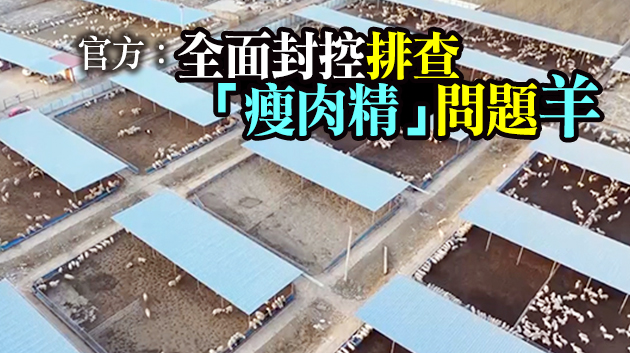 內地養羊大縣飼養過程添加瘦肉精 涉事企業負責人被控制
