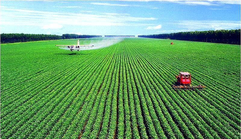 多部門：支持台胞台企在大陸農業林業領域發展