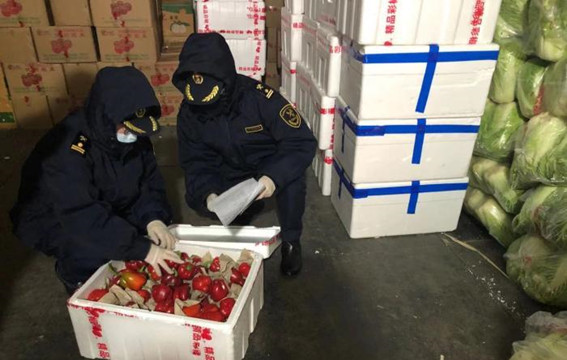 中蒙最大陸路口岸前2月出口果蔬達1.8萬噸