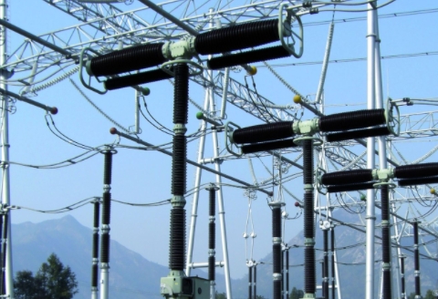 電能實業全年純利61.32億元 跌14%