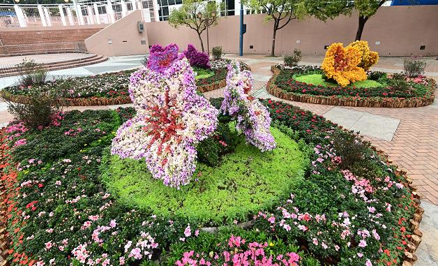 網上香港花卉展覽明日登場