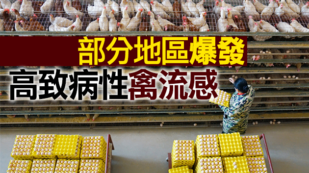 本港暫停進口波蘭部分地區禽肉及禽類產品