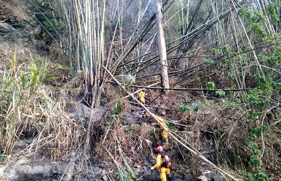 台灣森林大火造成阿里山公路邊坡裸露 22日起封閉管制