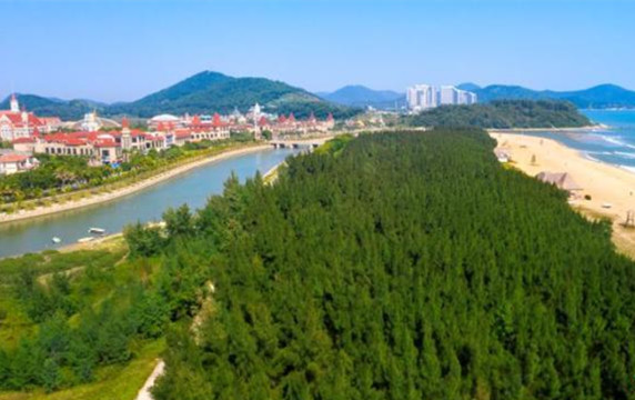 廣東森林碳匯儲量達3.1億噸 將着力提高碳匯能力