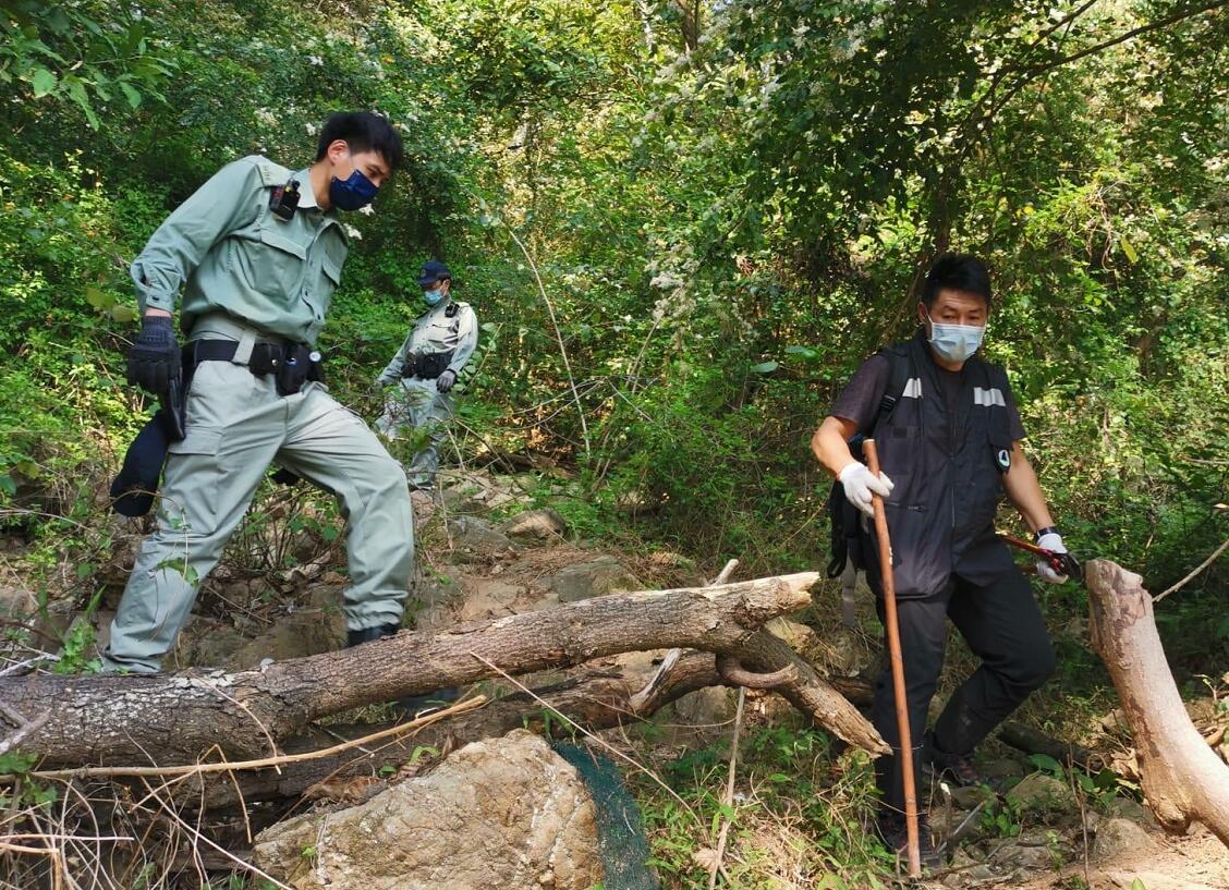 警方聯合漁護署愛協到荃灣山頭搜索非法捕獸器 