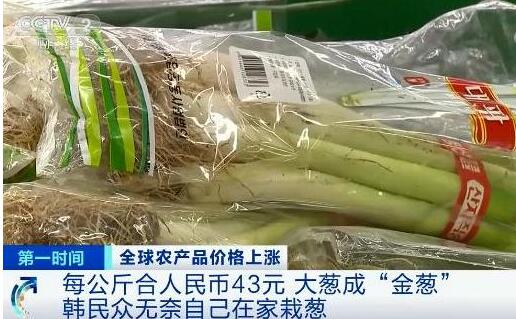 國際糧價暴漲 會影響中國人的「飯碗」嗎？