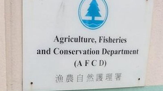 漁護署擬拒收棄養動物 冀主人考慮一輩子承諾
