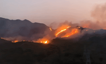 屯門青山山火燒逾1日 2條百米長火線仍未撲滅