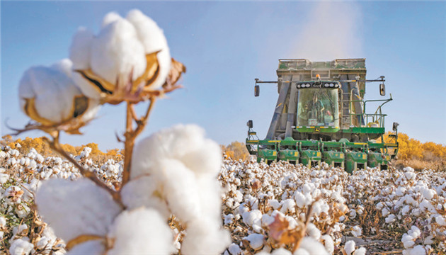 官媒：所謂中國「滅絕種族」是違反國際法的彌天大謊