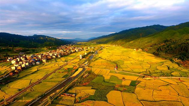 郵儲發布2020社會責任報告：助力可持續發展