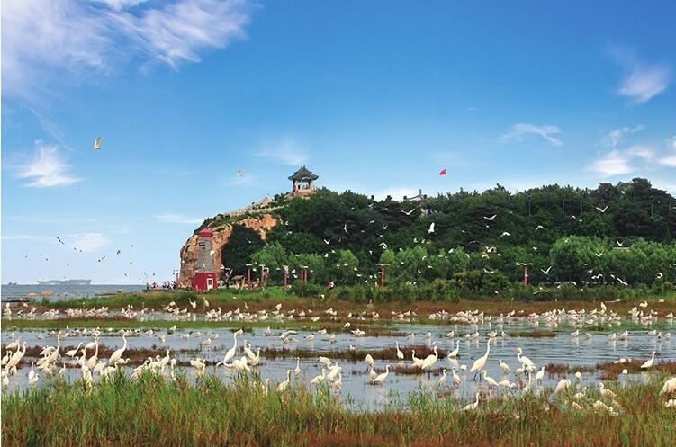 【港媒看廣饒】山東廣饒多措並舉 按下項目建設「快進鍵」