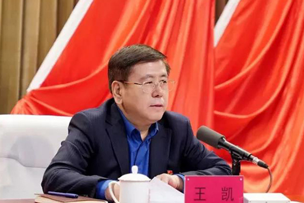 王凱任河南省副省長、代理省長