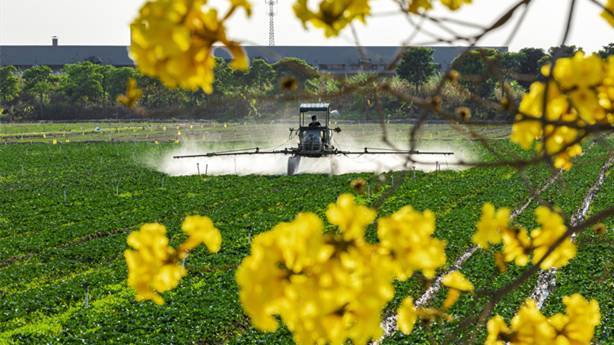 廣州推出賞春花品歷史11條精品路線