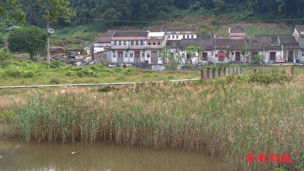 圖集 | 鹿頸：景色優美輕鬆易走的郊遊熱點