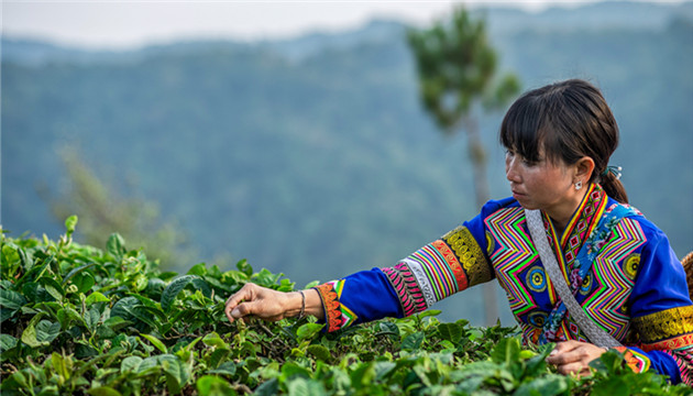 國新辦將發布《人類減貧的中國實踐》白皮書