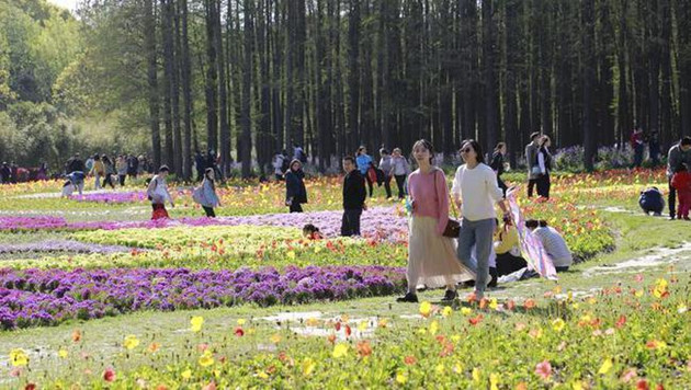 五一假期安排出炉 多條熱門航線機票價格上漲