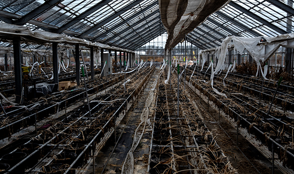 台灣環團聯合聲明嚴正反對日本核廢水入海