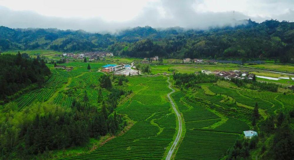 【商報圖說】貧困農村居民收入大增