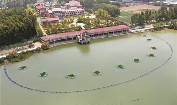 福建晉江加大供水量為金門「解渴」 台胞盼兩岸「新四通」早日實現