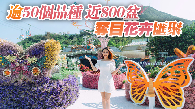 海洋公園4月17日-5月30日舉辦蝴蝶主題花藝展覽