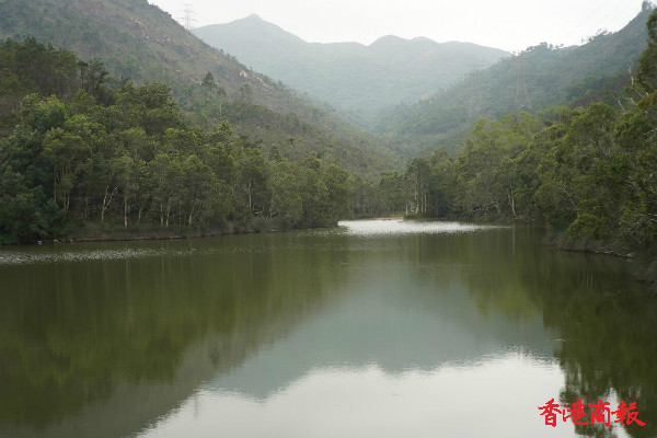 圖集 | 屯門隱世靚景——藍地水塘