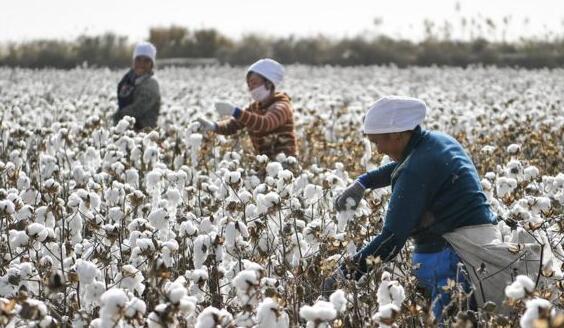 樂玉成：制裁新疆企業是要在新疆製造 「強迫失業」和「強迫貧困」