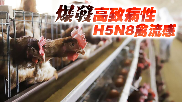 本港暫停進口波蘭部分地區禽肉和禽類產品