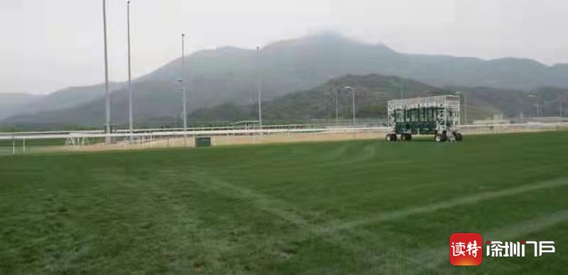 【大灣區·大未來】香港「馬照跑」跑到從化來訓練！內地有望在從化看到專業賽馬比賽