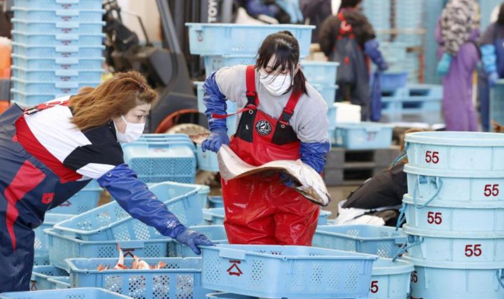 放射性物質超標！日本禁止福島黑鮋魚上市
