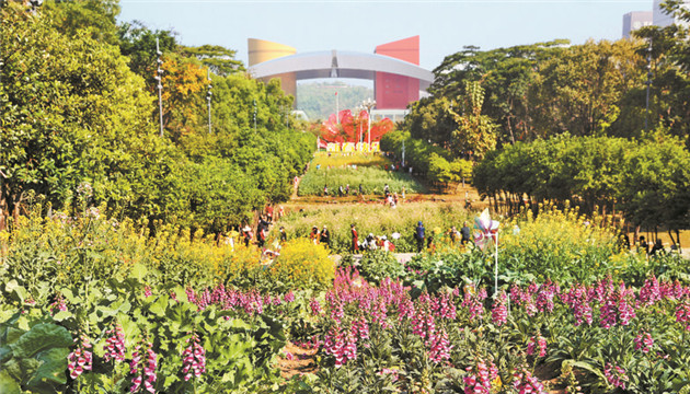 數讀報告｜深圳UP UP