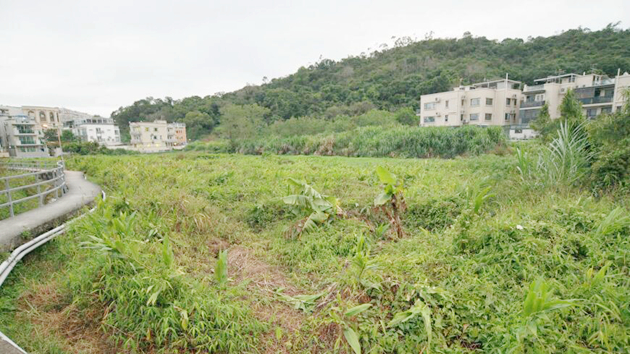 過渡性房屋資助計劃3項目獲批 可提供逾2000個單位