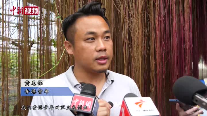 【擁抱大灣區】香港青年大灣區開農場：新農業也有大未來