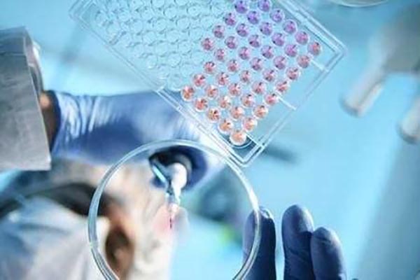 世衛組織：全球累計新冠確診病例達153187889例